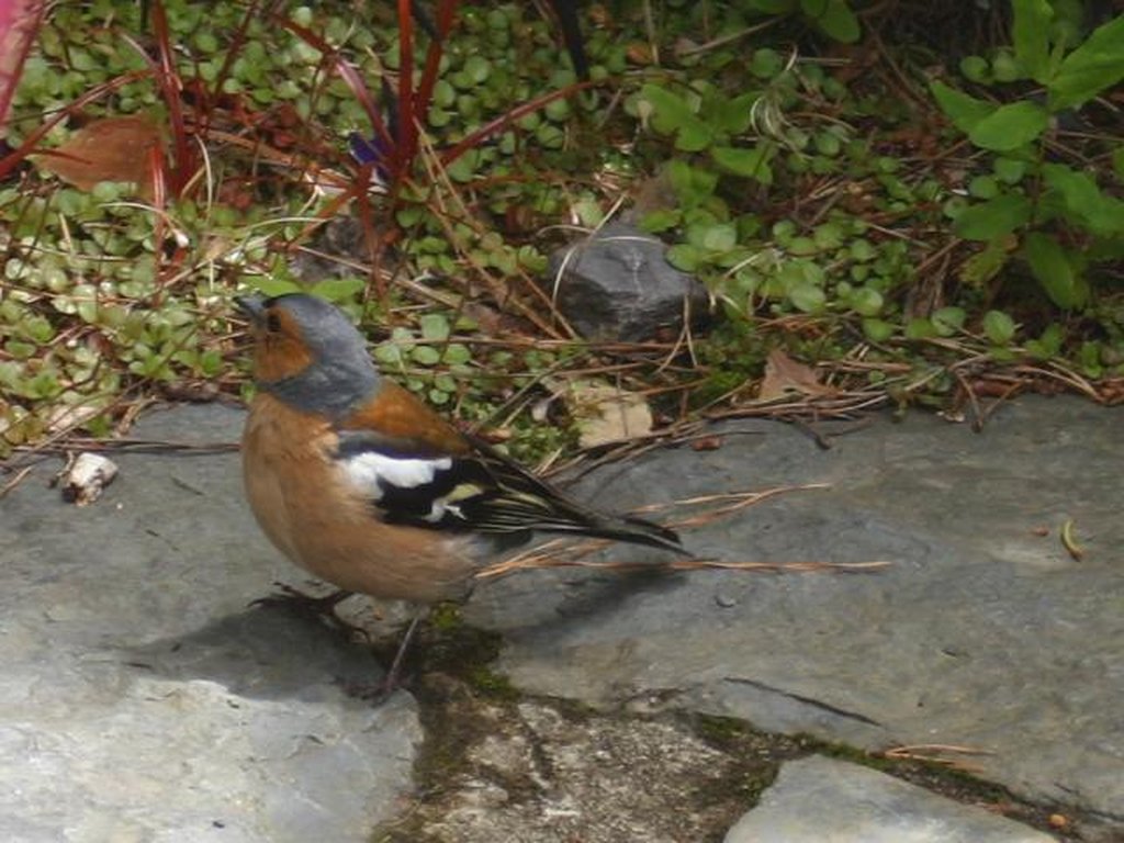 Image 235_3529_cr.jpg