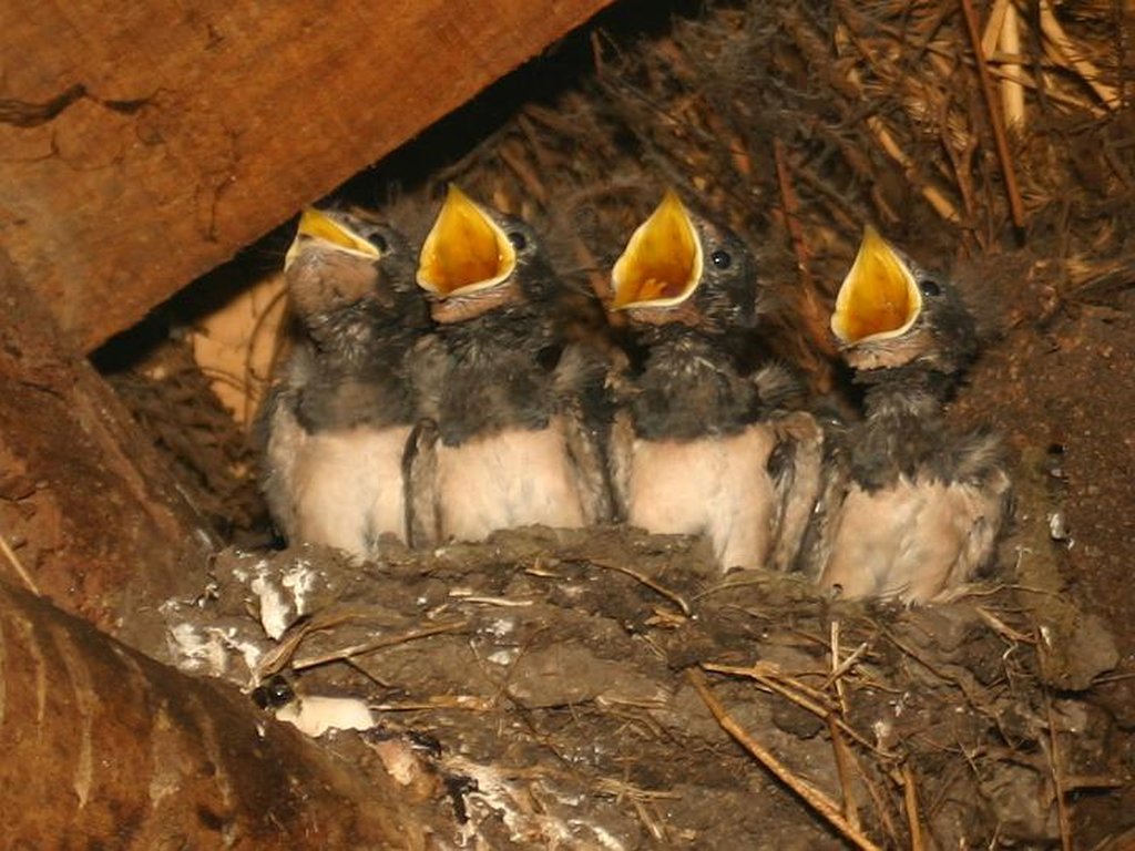 Image 236_3601_cr.jpg