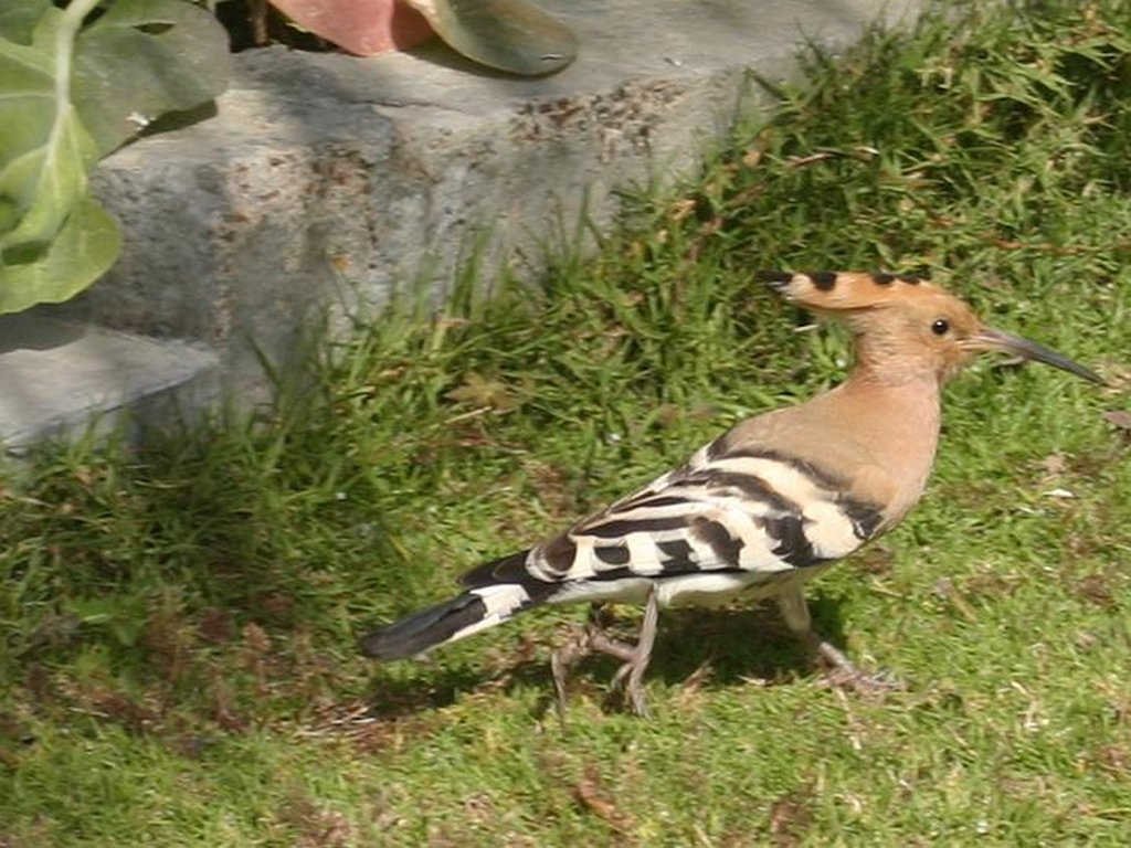 Image 253_5391_cr.jpg