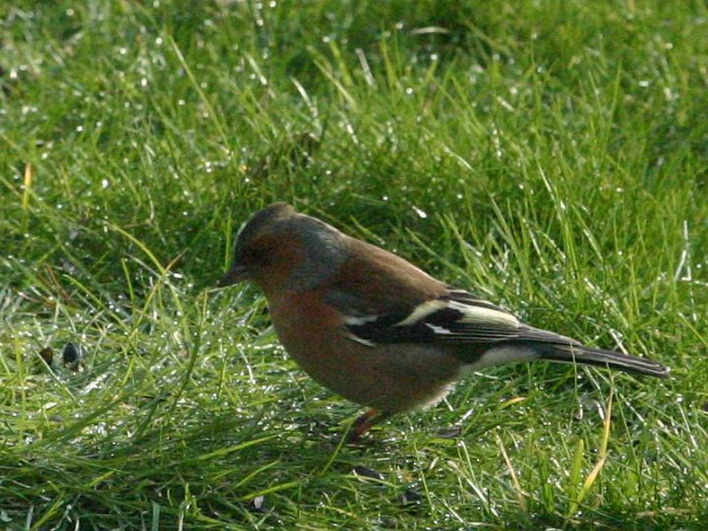 Image 268_6867_cr.jpg